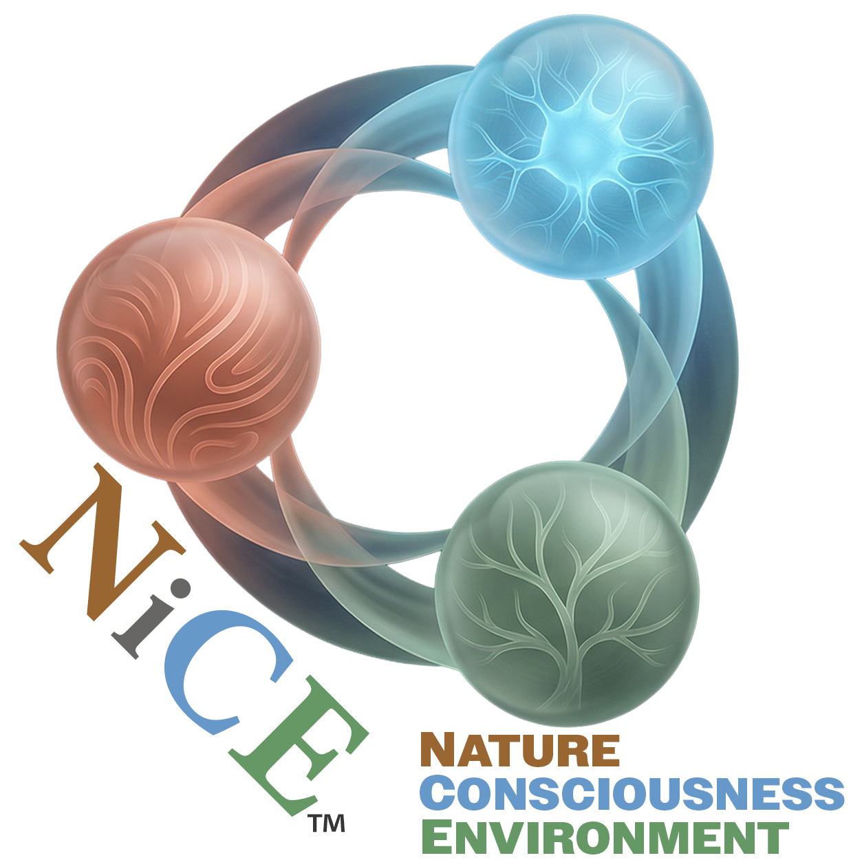 NiCE Framework Triadic System